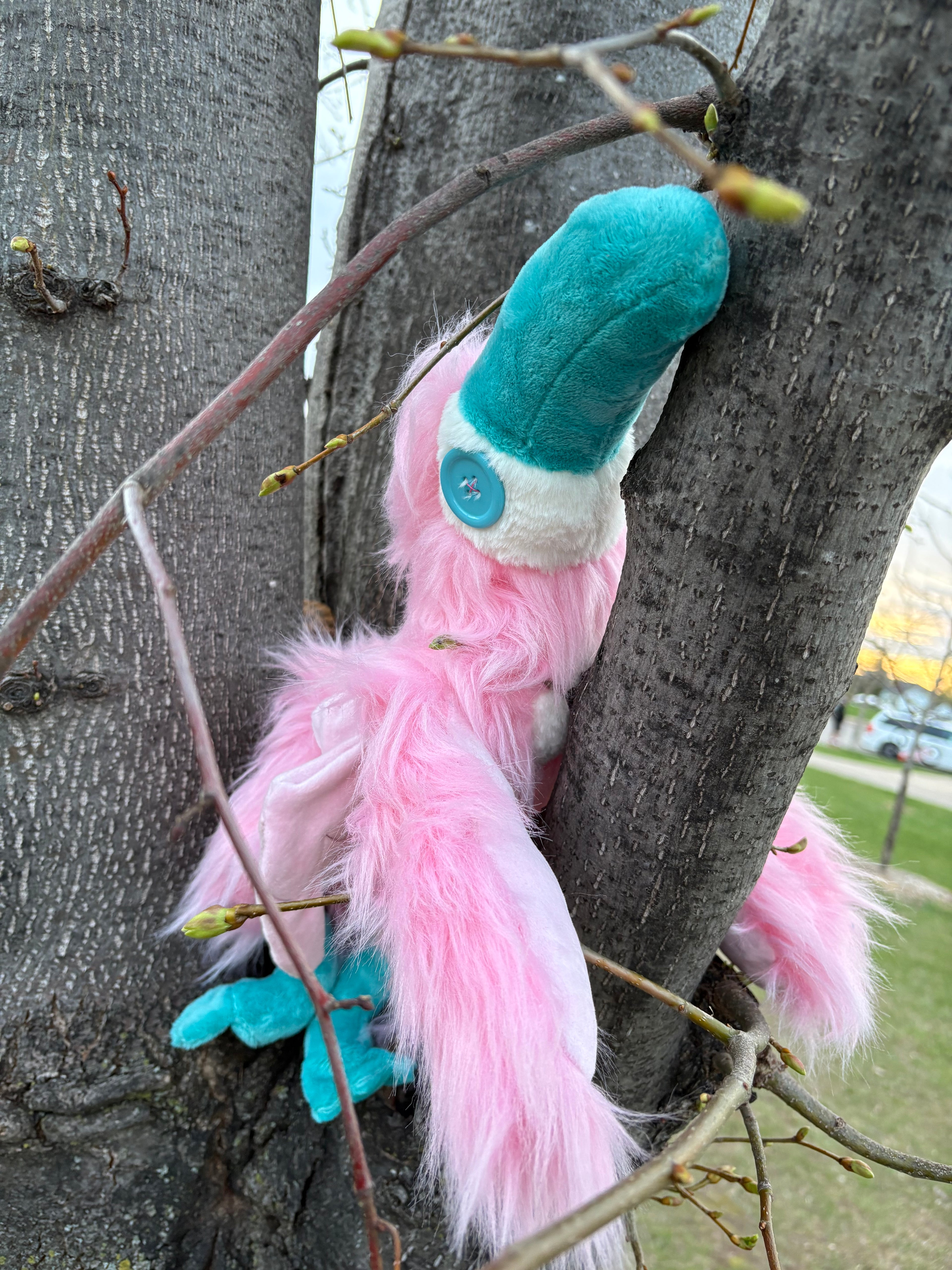 Custom Toucat