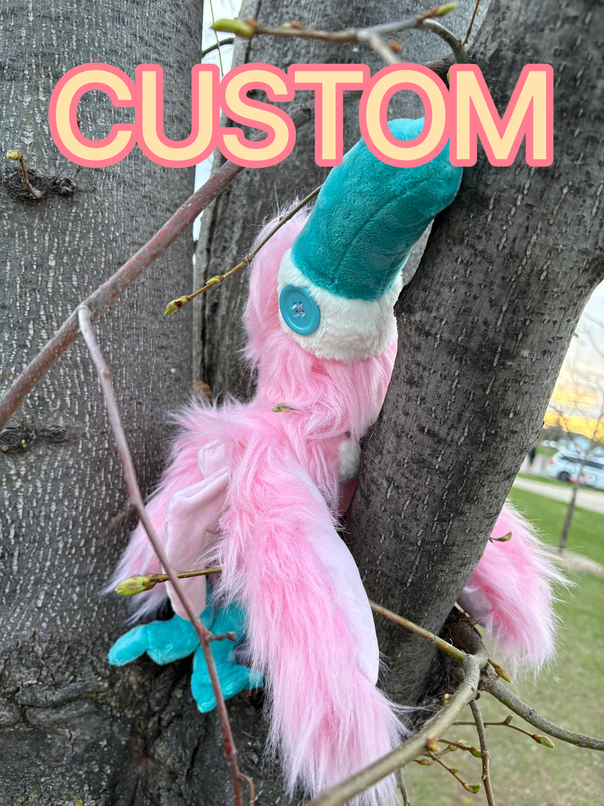 Custom Toucat